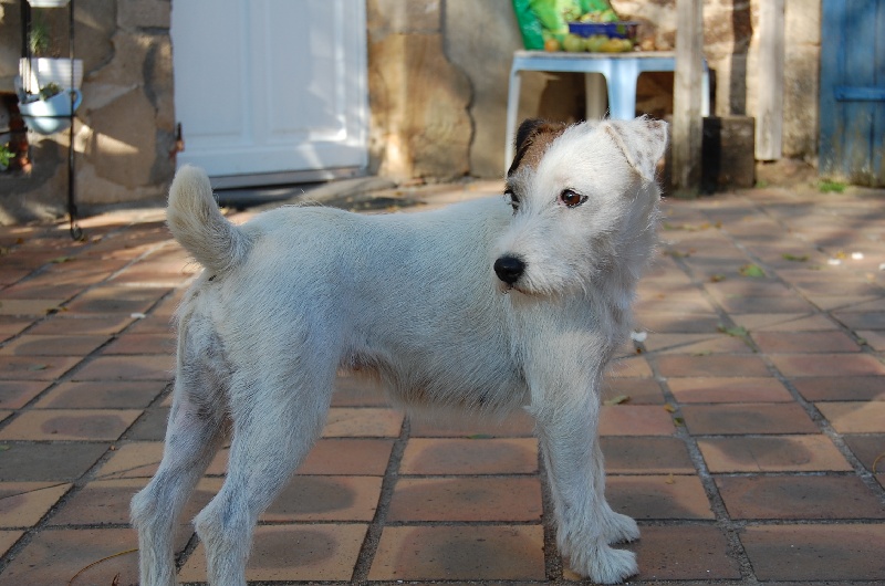 CH. De ghundaï Ub'silone