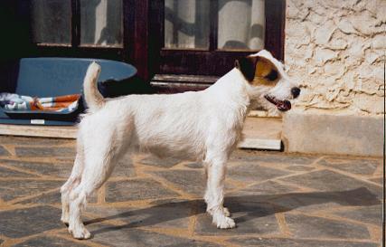 CH. De ghundaï Ub'silone