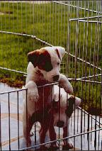 CH. De ghundaï Ub'silone