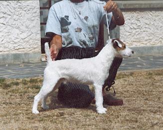 Publication : De ghundaï