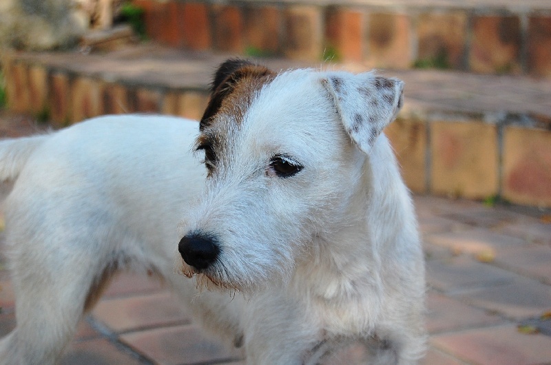 CH. De ghundaï Ub'silone