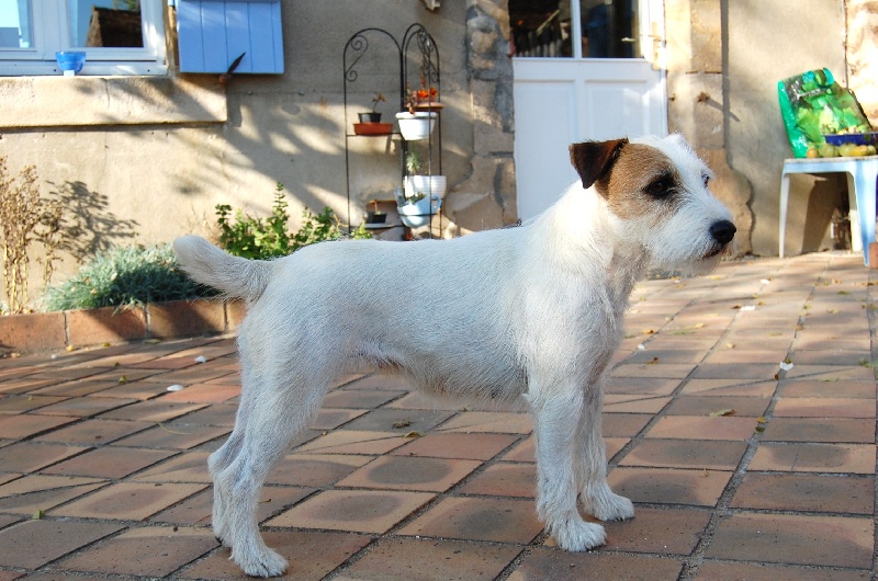 CH. De ghundaï Ub'silone