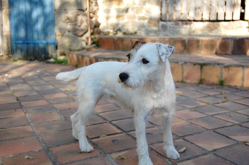 CH. De ghundaï Ub'silone