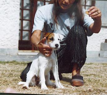 CH. De ghundaï Ub'silone