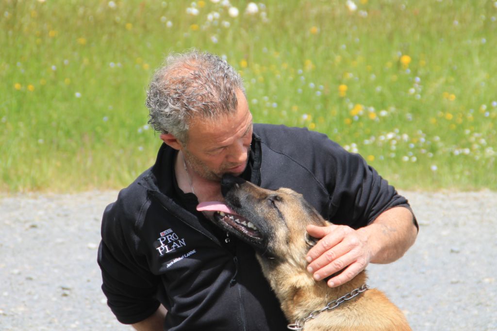 Accueil Chiens De Chasse Sport Challenge Setter Anglais