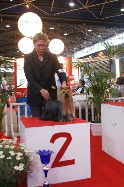 CH. Distinction Du domaine de monderlay - 1er excellent en classe champion CACIB BOB BOG 2