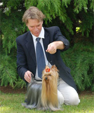 CH. Crystale-palace Du domaine de monderlay - CAC BOB BOG