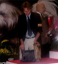 CH. Distinction Du domaine de monderlay - CAC, CACIB, BOB, BOG, Réserve BIS