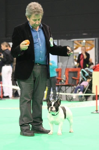 Inès de la vallee de l'iroise