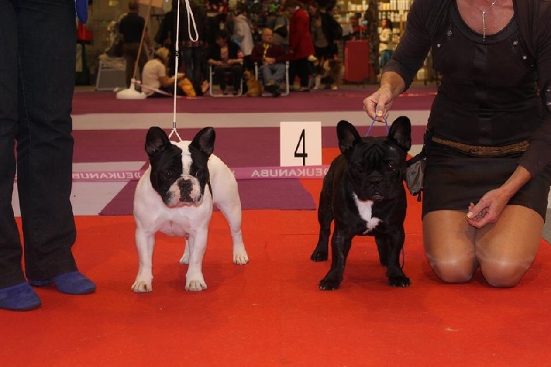 Inès de la vallee de l'iroise