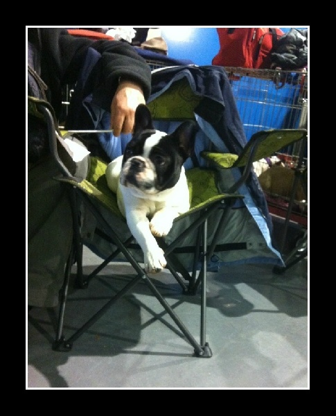 Inès de la vallee de l'iroise