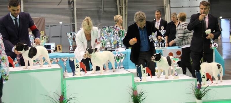 Inès de la vallee de l'iroise