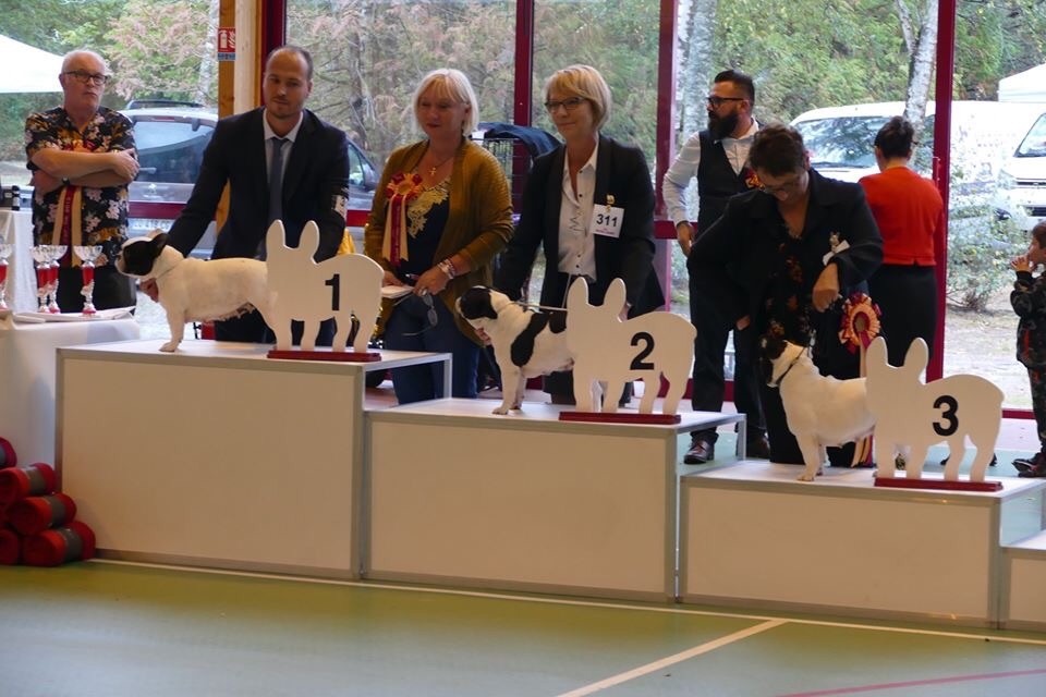 CH. Mona lisa des Caubes de la Morganeraie - 3ème excellent