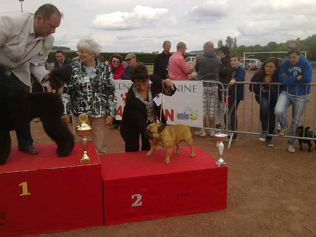 CH. Tous les matins du monde Eliot ness - 1 er EXCELLENT CACS MEILLEUR DE RACE 2eme DU GROUPE 9