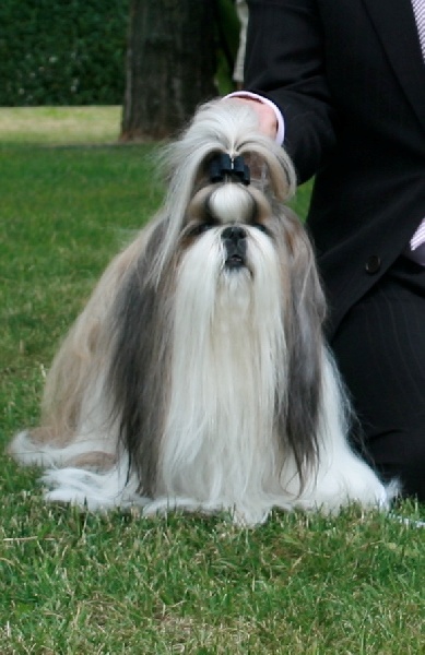 Publication : des loges de karita Auteur : photo Jean Michel Ansel