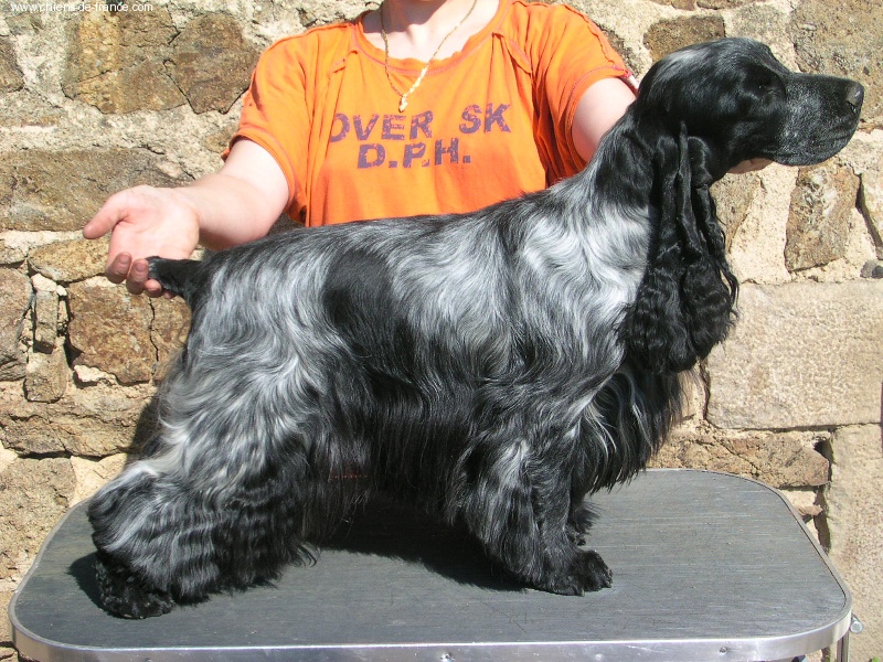 Mèden Âgan Unusual pepper