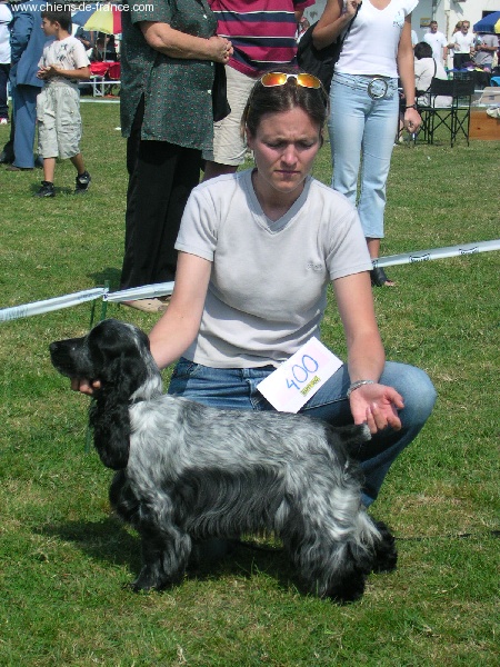 Mèden Âgan Unusual pepper