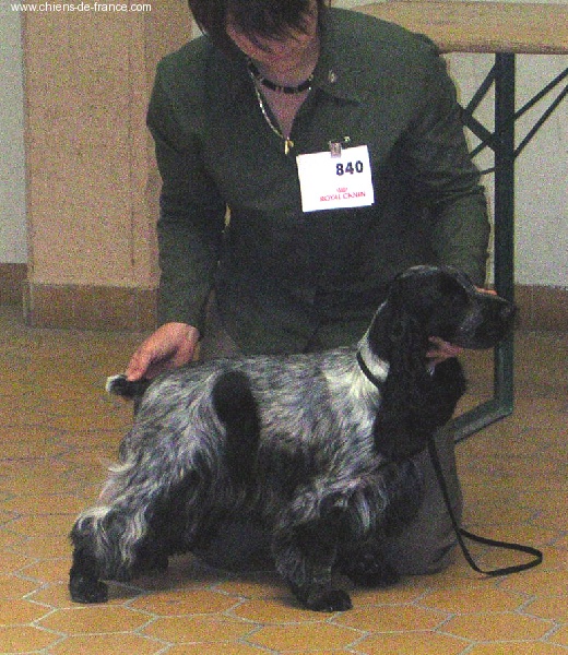 Mèden Âgan Unusual pepper