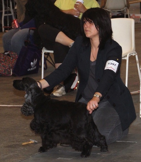 Gallinagos Like a prayer - Excellent classe vétéran