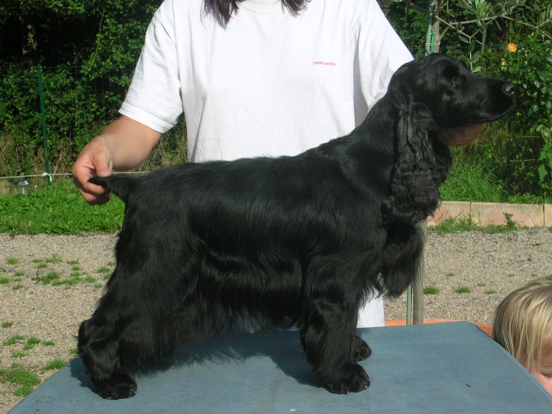 Gallinagos Like a prayer - 2eme EXC classe ouverte, RCACS