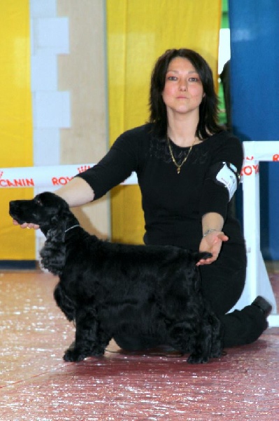 Gallinagos Like a prayer - Exc (5 éme) classe ouverte à 8 ans.