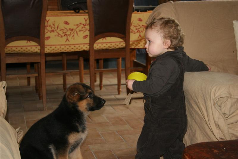 DELIZIA de la Plaine des Epis d'Or