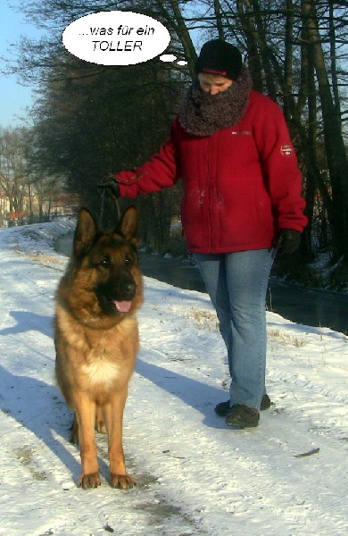 Publication : de la Plaine des Epis d'Or