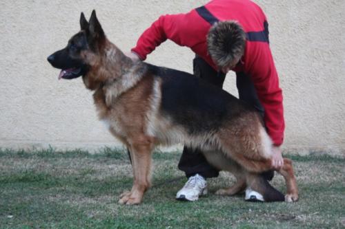 Publication : de la Plaine des Epis d'Or