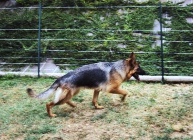 Publication : de la Plaine des Epis d'Or Auteur : MATIAS Isabelle