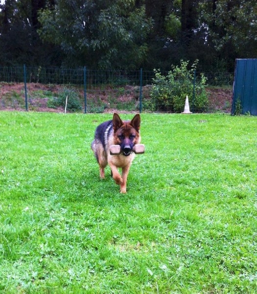 Publication : de la Plaine des Epis d'Or Auteur : MATIAS Isabelle