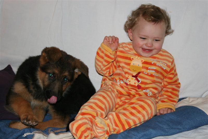 DELIZIA de la Plaine des Epis d'Or