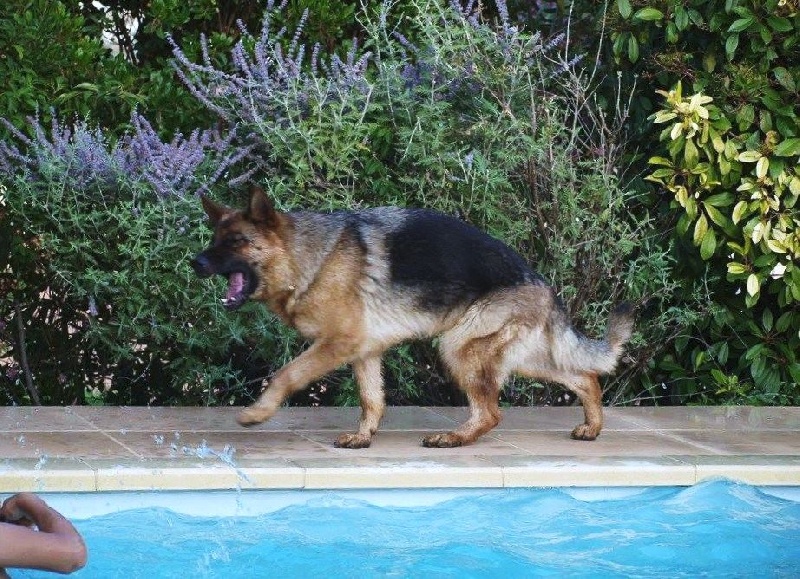 Publication : de la Plaine des Epis d'Or Auteur : MATIAS Isabelle