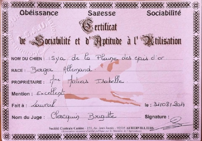 Publication : de la Plaine des Epis d'Or Auteur : MATIAS Isabelle