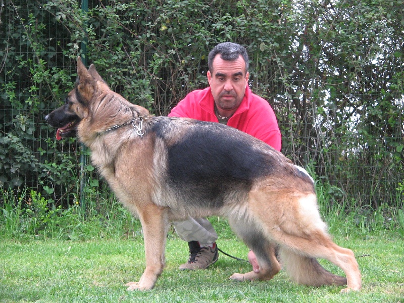 Publication : de la Plaine des Epis d'Or