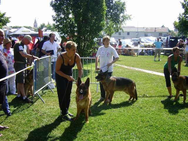 Yack von der lindenhayner flur - 1ER EXCELLENT CACS & MEILLEUR DE RACE