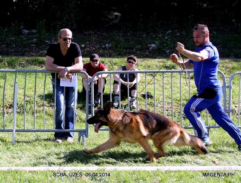 Yack von der lindenhayner flur - 3 ème excellent