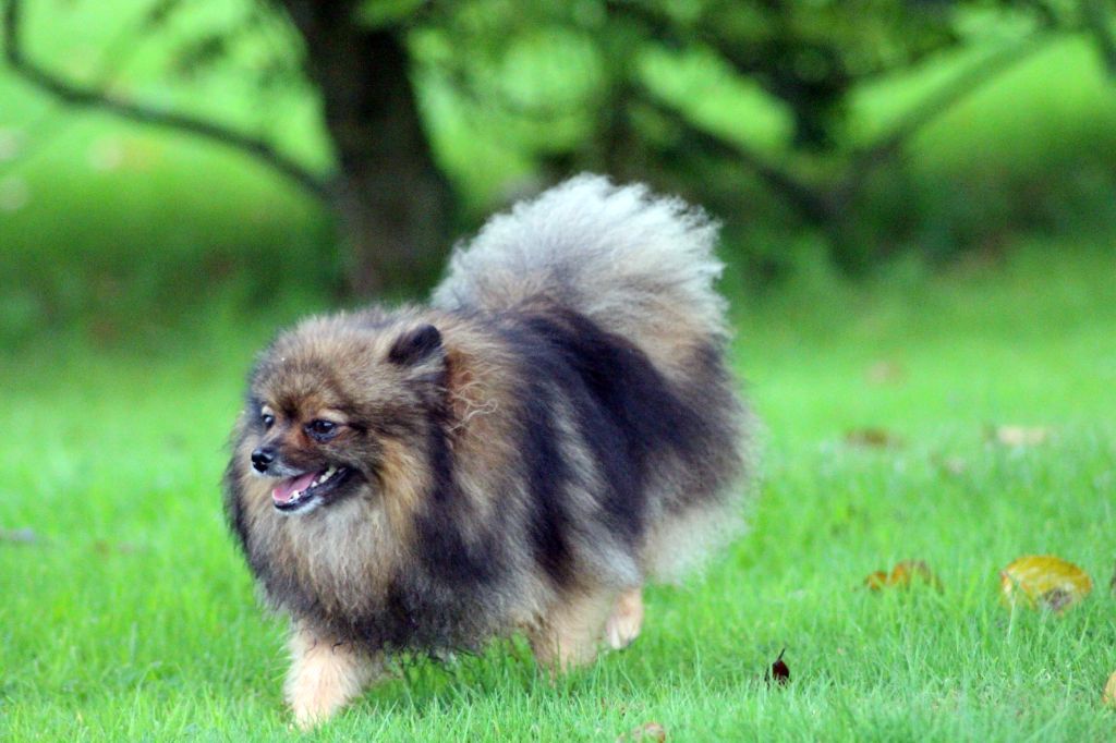 Publication : des Gardiens d'Hadès