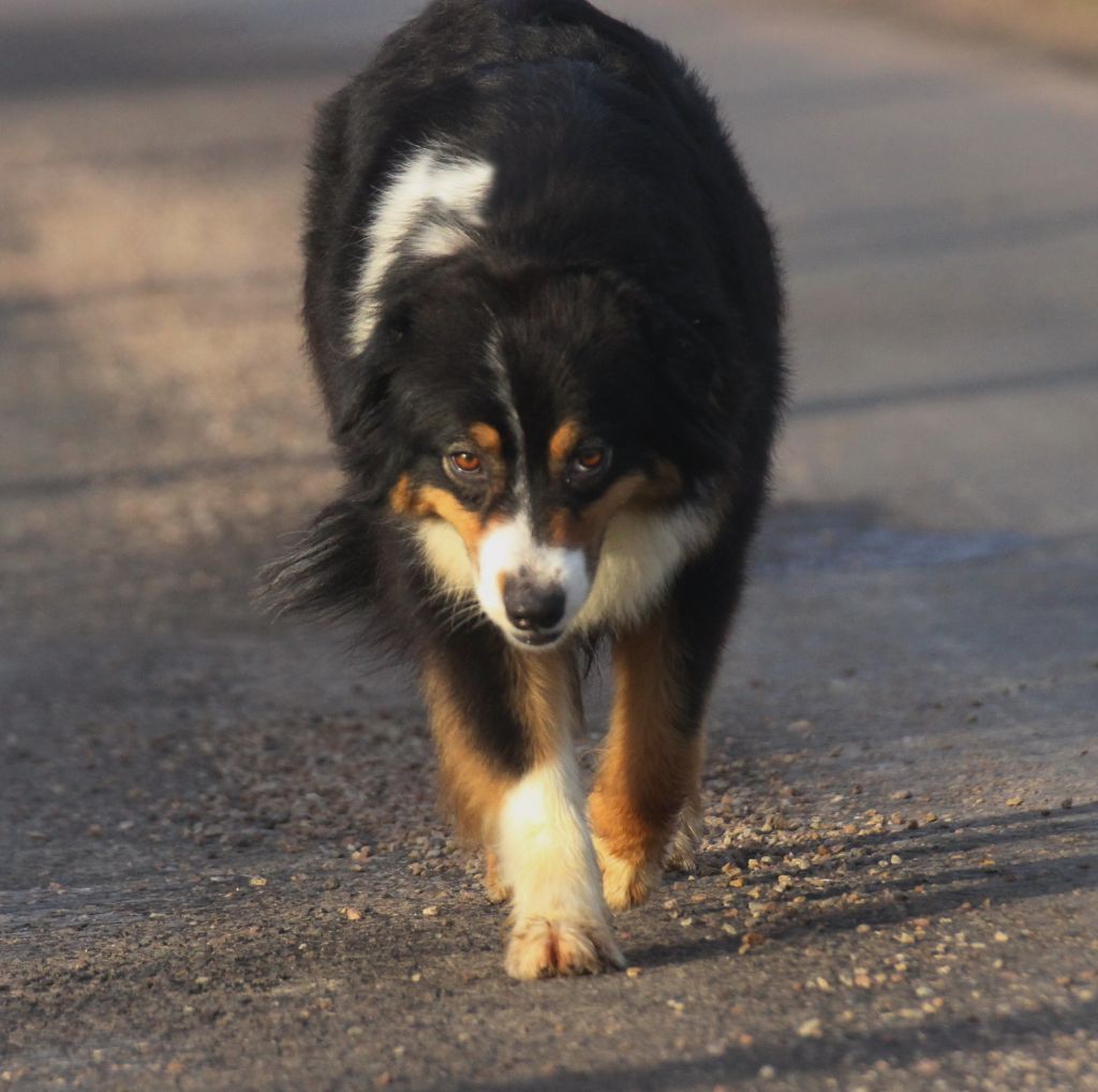 Publication : des Gardiens d'Hadès