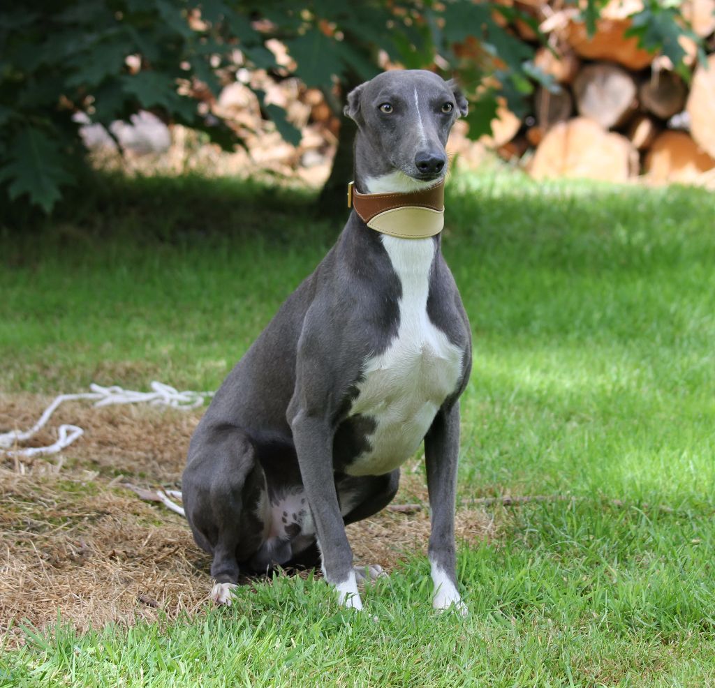 Publication : des Gardiens d'Hadès Auteur : hebert