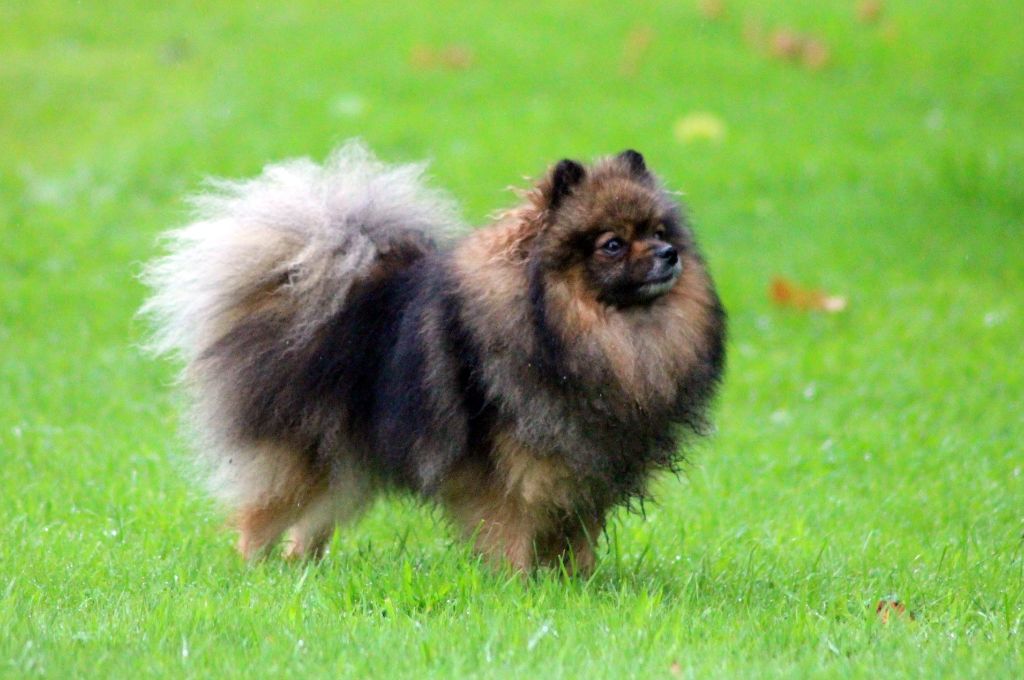 Publication : des Gardiens d'Hadès