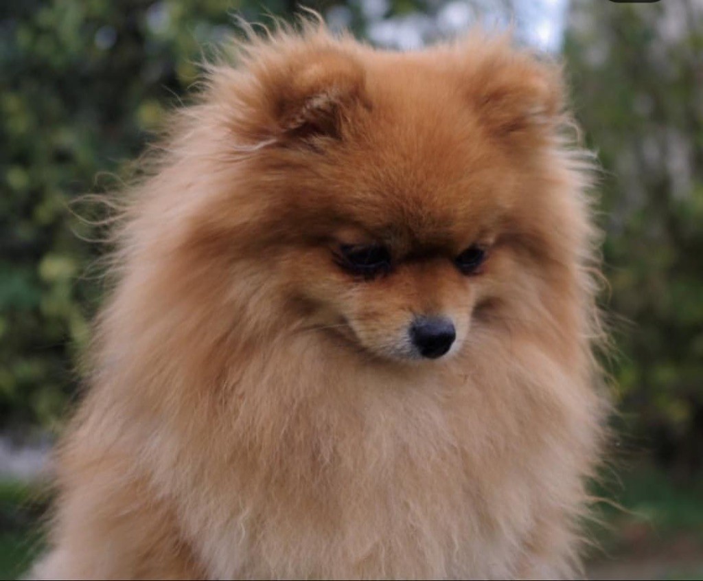 Publication : des Gardiens d'Hadès