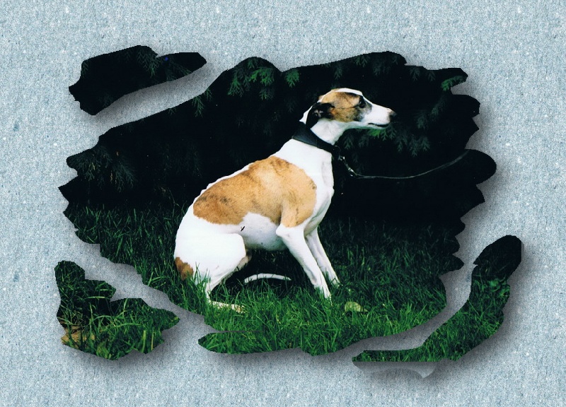 Publication : des Gardiens d'Hadès Auteur : hebert