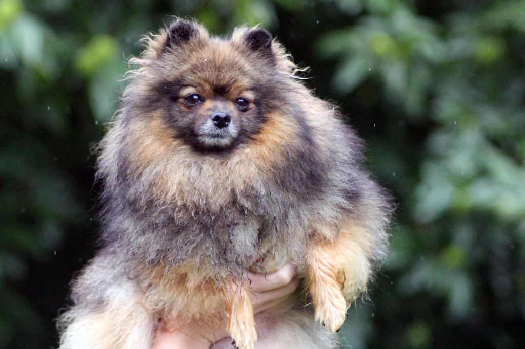 Publication : des Gardiens d'Hadès