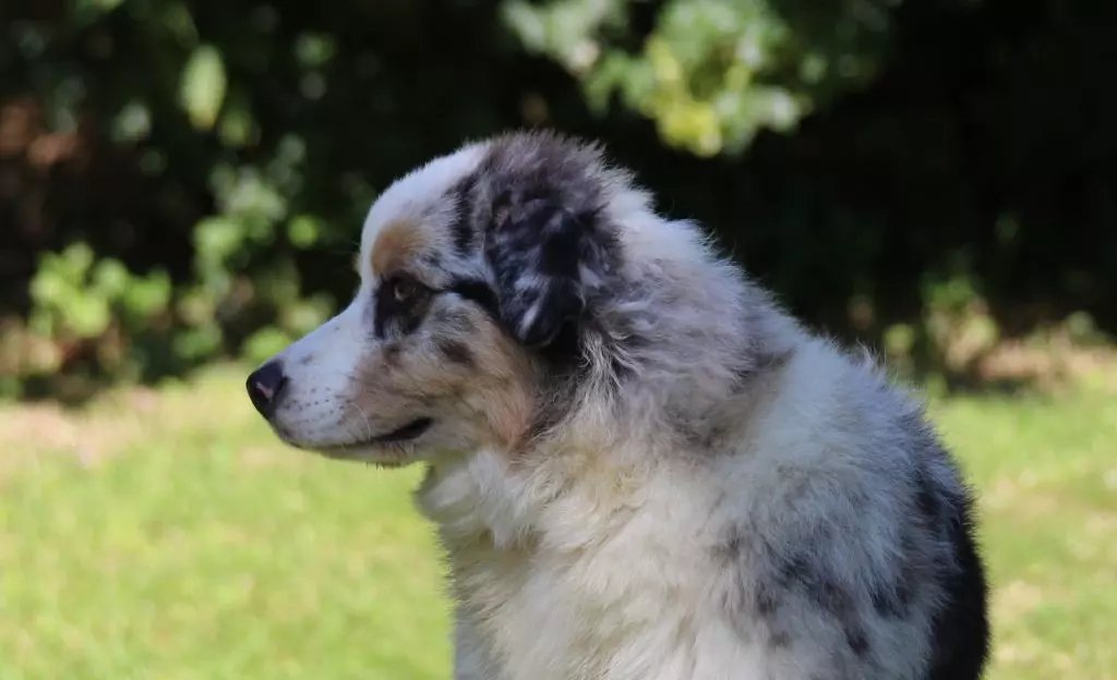 Publication : des Gardiens d'Hadès Auteur : isabelle hebert
