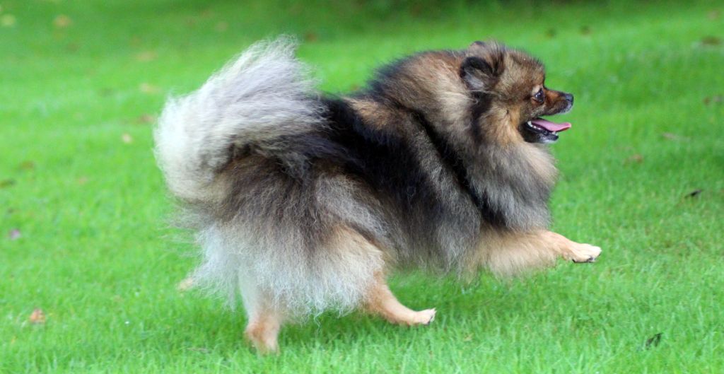 Publication : des Gardiens d'Hadès