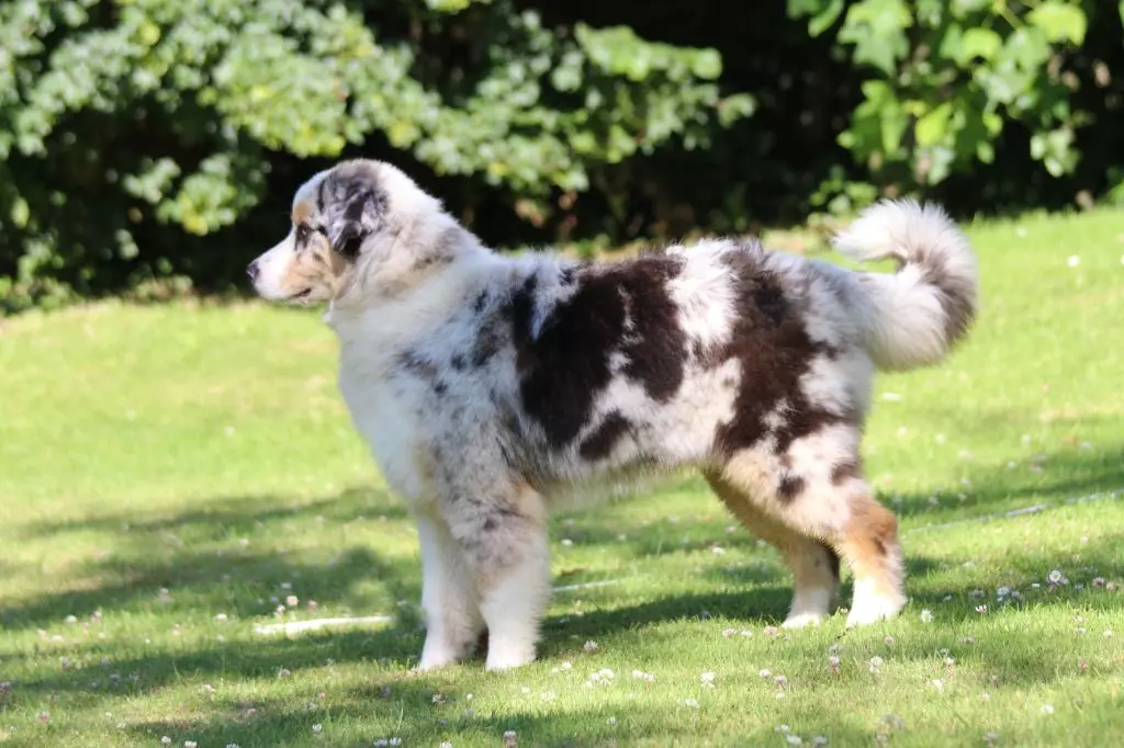 Publication : des Gardiens d'Hadès Auteur : isabelle hebert