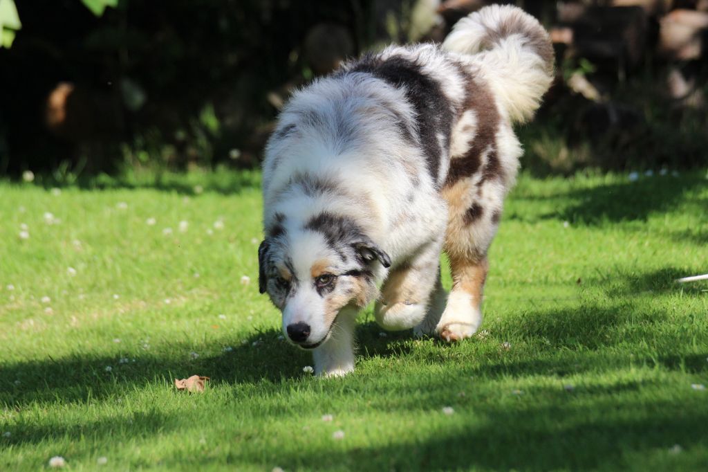 Publication : des Gardiens d'Hadès Auteur : isabelle hebert