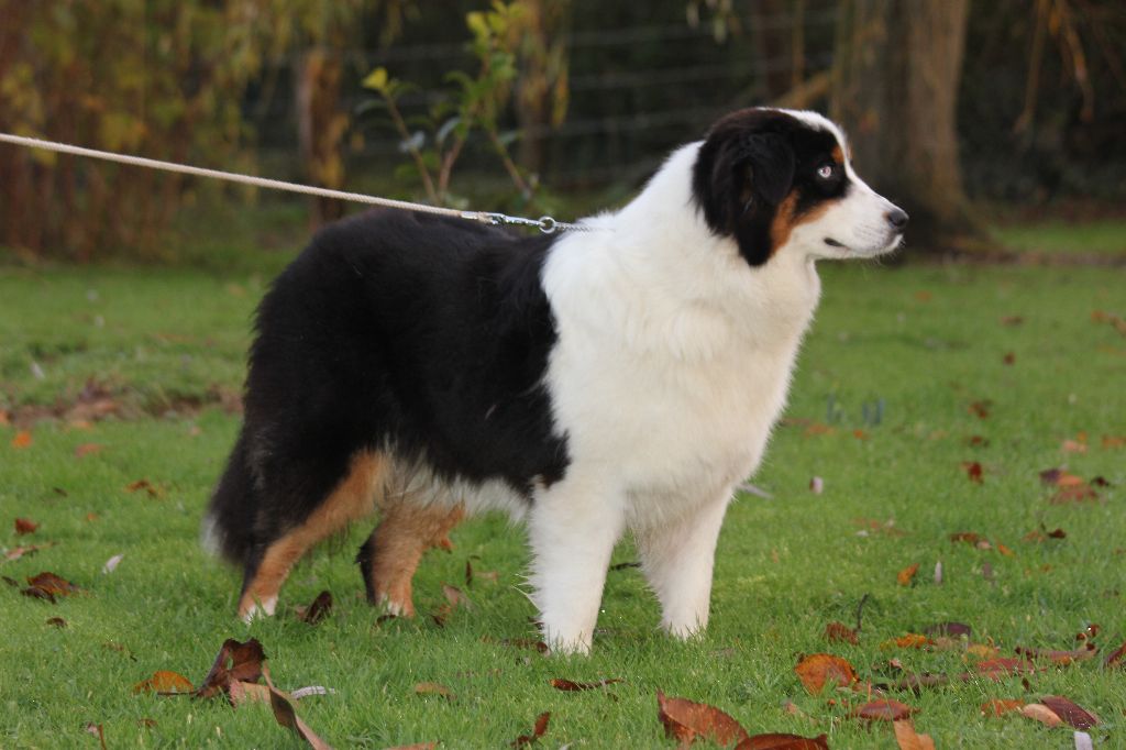 Publication : des Gardiens d'Hadès Auteur : hebert