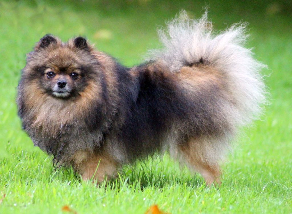 Publication : des Gardiens d'Hadès