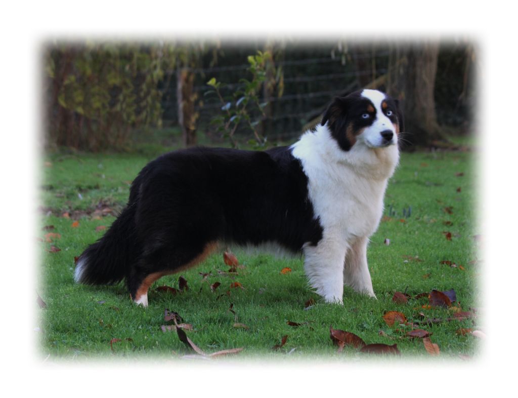 Publication : des Gardiens d'Hadès Auteur : hebert